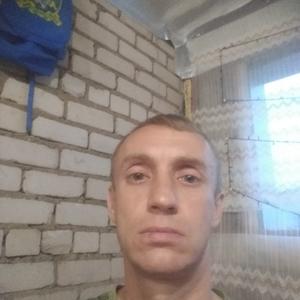 Роман Сотников, 44 года, Песочное