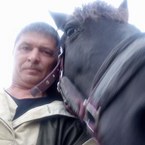 Дмитрий, 46 лет, Лодейное Поле