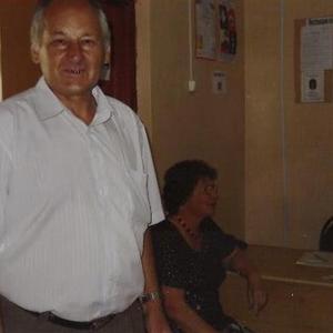 Костя, 63 года, Домодедово