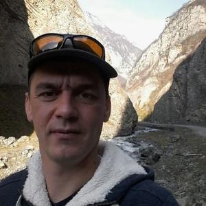 Александр Дружинин, 43 года, Камышин