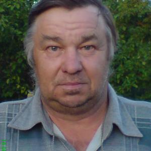 Виктор, 73 года, Новосибирск