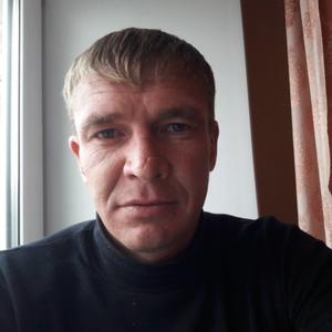 Николай, 39 лет, Свободный