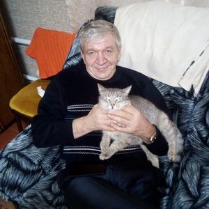 Александр, 65 лет, Нижний Новгород