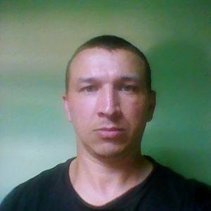 Рамиль, 43 года, Нижнекамск