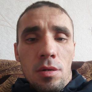 Владимир, 35 лет, Витебск