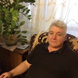 Александр, 68 лет, Брянск