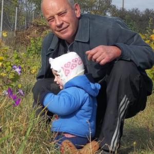 Виктор, 69 лет, Белгород