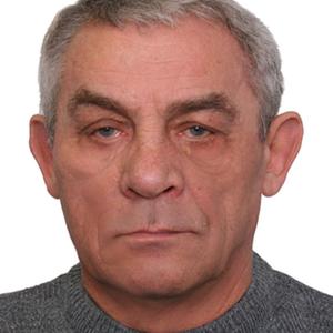 Пётр Спицын, 67 лет, Калининград