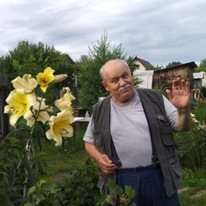 Николай, 64 года, Москва