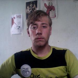 Александр, 27 лет, Богородск