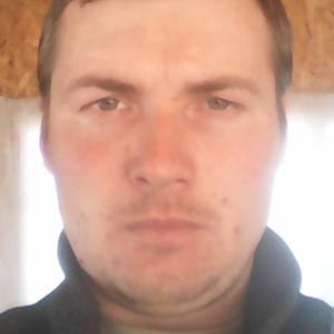 Дмитрий Боридько, 35 лет, Полтавка