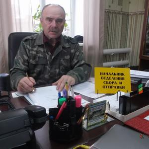 Сергей Пайвин, 67 лет, Ирбит