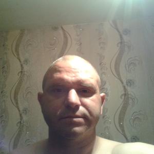 Виталий Злобин, 45 лет, Обнинск