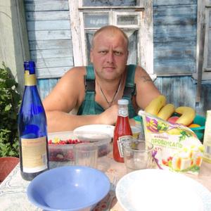 Дмитрий, 49 лет, Подпорожье