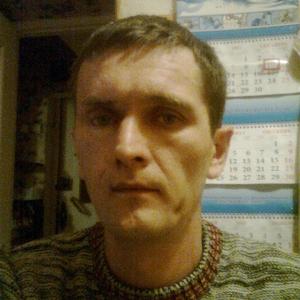 Андрей, 47 лет, Лыткарино