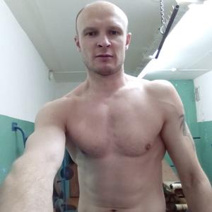 Николай, 42 года, Торжок