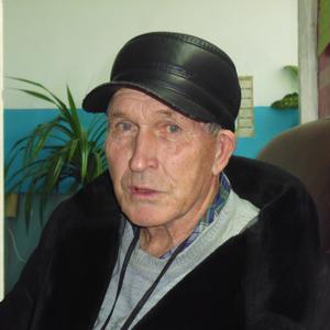 Григорий Лошкарев, 76 лет, Бийск