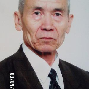 Сейткерим, 84 года, Москва