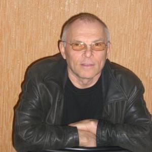 Василий Колин, 69 лет, Луховицы