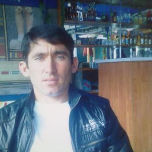 Damir, 42 года, Домодедово