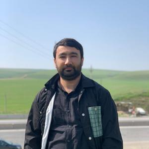 Sherzod, 32 года, Ташкент