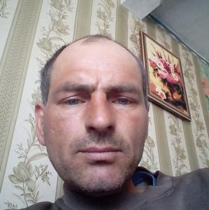 Иван, 43 года, Барнаул