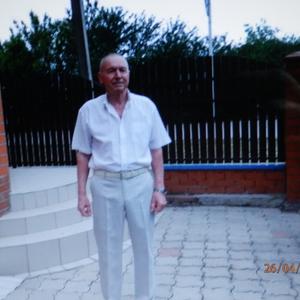 Владимир, 69 лет, Тимашевск