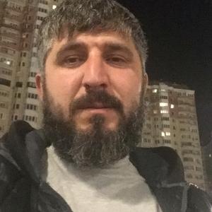 Максим, 36 лет, Богородицк