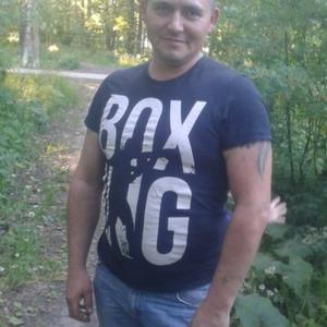 Парни в Электроуглях: Сергей Иванов, 45 - ищет девушку из Электроуглей