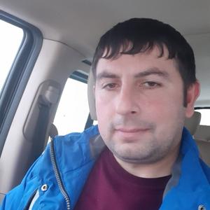 Рома, 36 лет, Мурманск