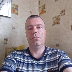 Андрей, 43 года, Курган