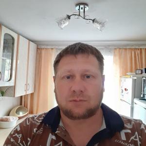 Александр, 44 года, Михайловск