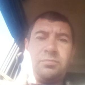Иван, 41 год, Алтайский