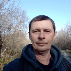 Дмитрий, 43 года, Тарасовский