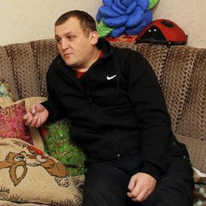 Сергей, 42 года, Зеленогорск
