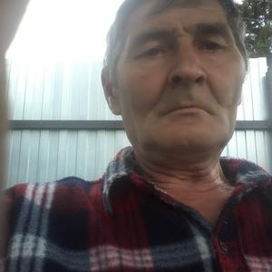 Николай Григорьев, 66 лет, Барнаул