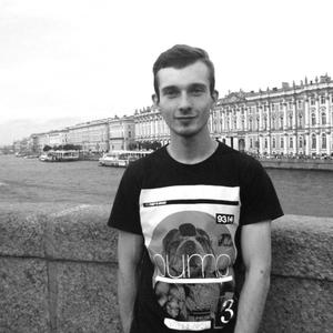 Дмитрий, 31 год, Кандалакша