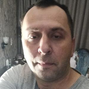 Владимир, 44 года, Мытищи