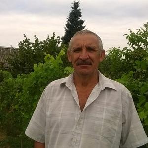 Николай, 63 года, Агроном