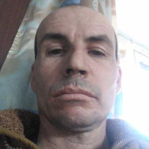 Владимир, 43 года, Хабаровск