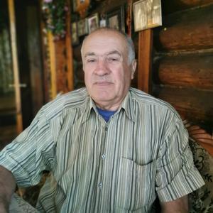 Вячеслав, 73 года, Сергиев Посад