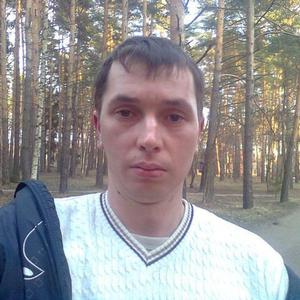 Александр Зайцев, 45 лет, Киров