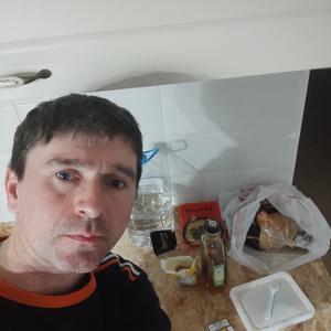 Владимир, 42 года, Краснодар