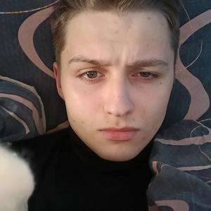 Федор, 20 лет, Архангельск