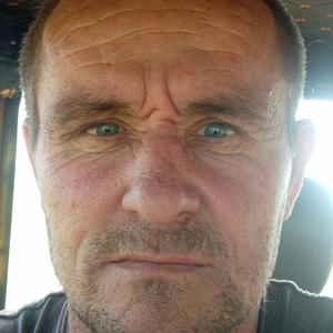 Николай, 43 года, Руза