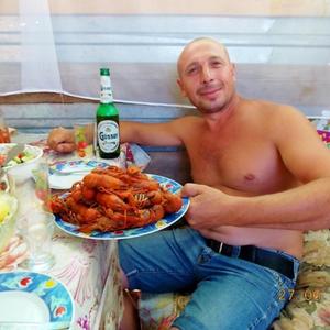 Фролов Юрий, 49 лет, Ростов-на-Дону