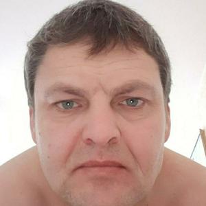 Андрей, 46 лет, Фрязино