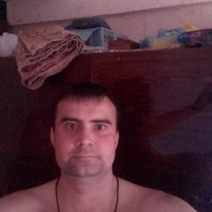 Александр, 36 лет, Ефремов