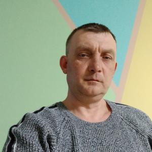 Александр, 44 года, Чапаевск