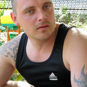Владимир, 39 лет, Кингисепп